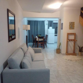 Departamento Ruta 40 San Martin De Los Andes